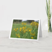 Gatjes-Hypericum Bloeiende Plant Kaart (Voorkant)