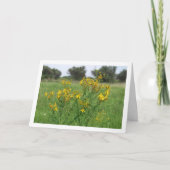 Gatjes-Hypericum Bloeiende Plant Kaart (Voorkant)