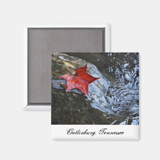 Gatlinburg bladmagneet magneet (Voorkant / Achterkant)