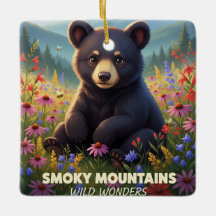 Gatlinburg Smokey Mountains Wilde Wonderen