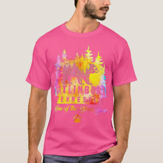 Gatlinburg Tennessee Beer Great Smoky Mountains Ti T-shirt