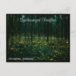 Gatlinburg Tennessee Briefkaart TN