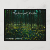 Gatlinburg Tennessee Briefkaart TN (Voorkant)