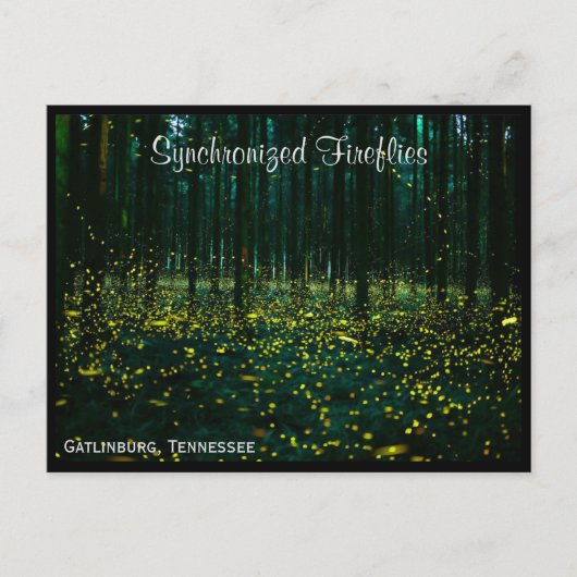 Gatlinburg Tennessee Briefkaart TN (Voorkant)