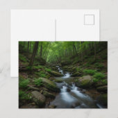 Gatlinburg , Tennessee Forest waterfall Briefkaart (Voorkant / Achterkant)