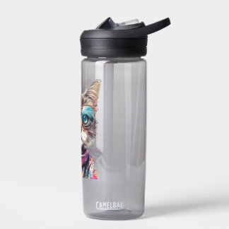  Gato Cool con Lentes  Waterfles