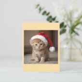 Gato fofo em noite de Natal. Briefkaart (Staand voorkant)