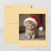 Gato fofo em noite de Natal. Briefkaart (Voorkant / Achterkant)
