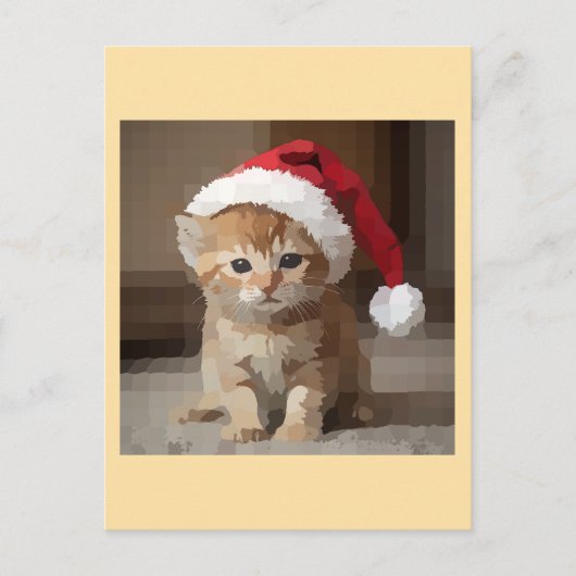 Gato fofo em noite de Natal. Briefkaart (Voorkant)