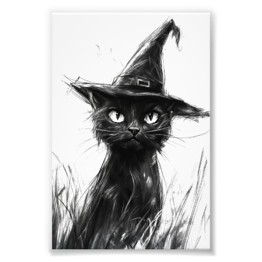 Gato Preto (Papel Fotográfico) Foto Afdruk (Voorkant)