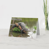 Gator 0076 Wenskaart Kaart (Voorkant)