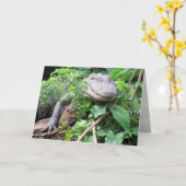 Gator 0111 Wenskaart Kaart (Gele Bloem)