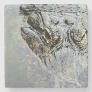 Gator 2 stenen onderzetter