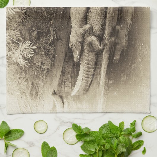 Gator Back Ride Theedoek (Gevouwen)