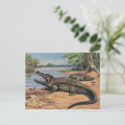 Gator Beach Ansichtkaart Briefkaart (Staand voorkant)