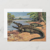 Gator Beach Ansichtkaart Briefkaart (Voorkant / Achterkant)