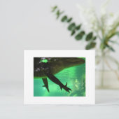 Gator Briefkaart (Staand voorkant)