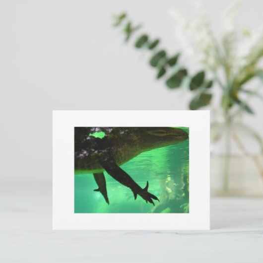 Gator Briefkaart (Staand voorkant)