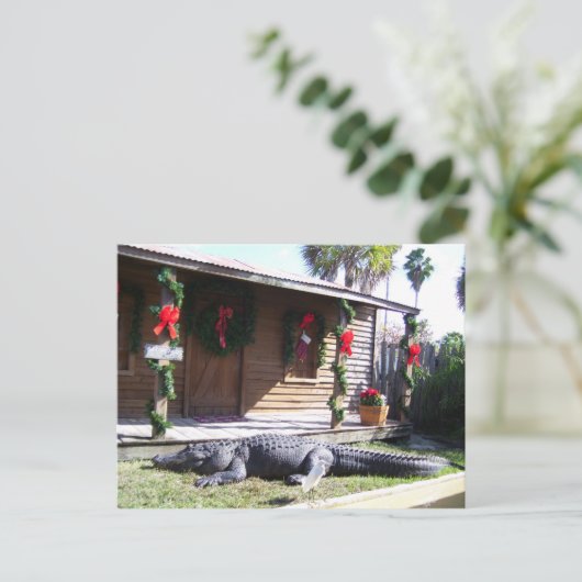 Gator Briefkaart (Staand voorkant)