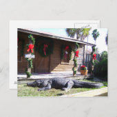 Gator Briefkaart (Voorkant / Achterkant)