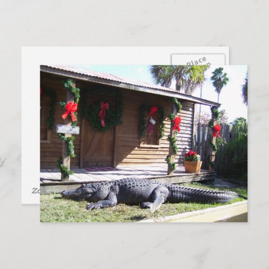 Gator Briefkaart (Voorkant / Achterkant)