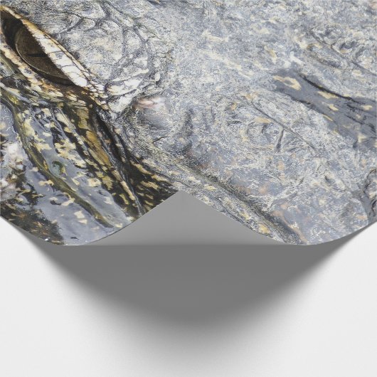 Gator Cadeaupapier (Hoek)