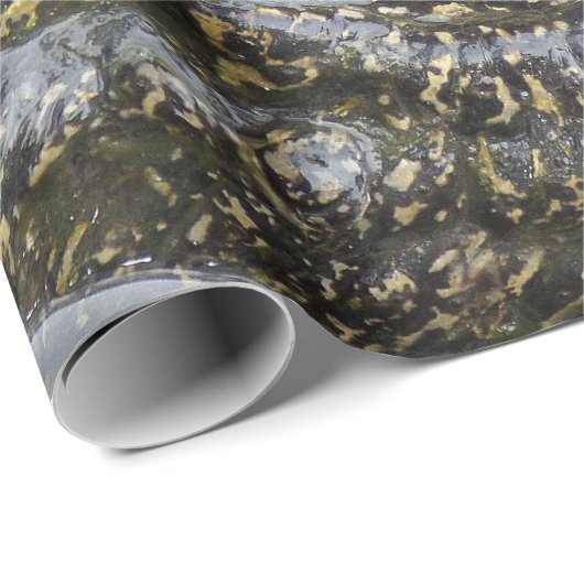 Gator Cadeaupapier (Rol Hoek)