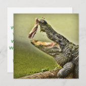 Gator Catching Lunch Wildlife Fotografie Kaart (Voorkant / Achterkant)