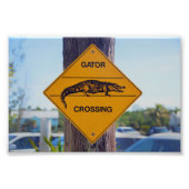Gator Crossing Sign Foto Afdruk (Voorkant)
