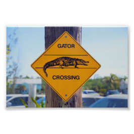 Gator Crossing Sign Foto Afdruk