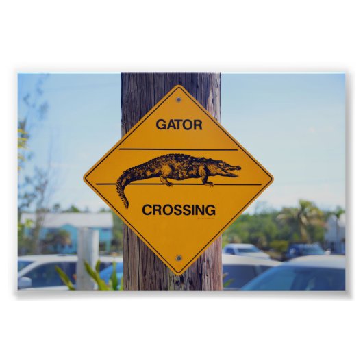 Gator Crossing Sign Foto Afdruk (Voorkant)