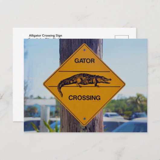 Gator Crossing Sign., Foto van Florida Briefkaart (Voorkant / Achterkant)
