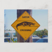 Gator Crossing Sign., Foto van Florida Briefkaart (Voorkant)
