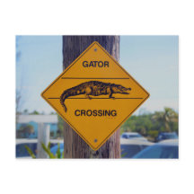 Gator Crossing Sign., Foto van Florida