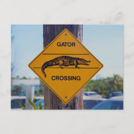 Gator Crossing Sign., Foto van Florida Briefkaart
