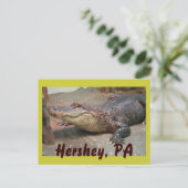 Gator Greeting from Hershey Briefkaart (Staand voorkant)