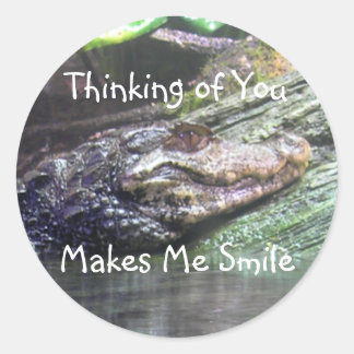 'Gator Grins: Denken aan jou - Sticker