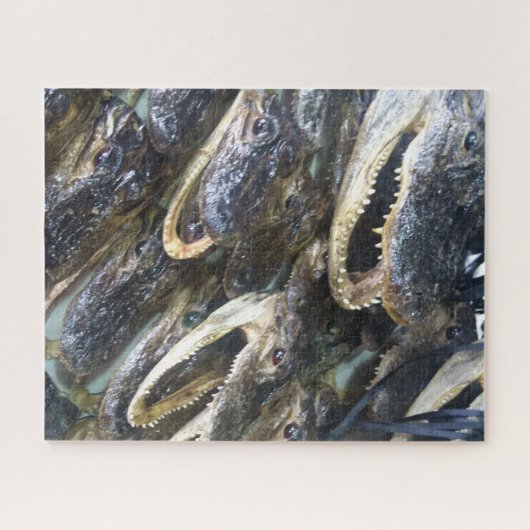 Gator Head Jigzaag Puzzle Legpuzzel (Horizontaal)