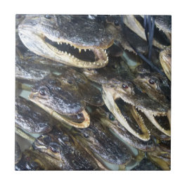 Gator Head keramische Tegel Tegeltje