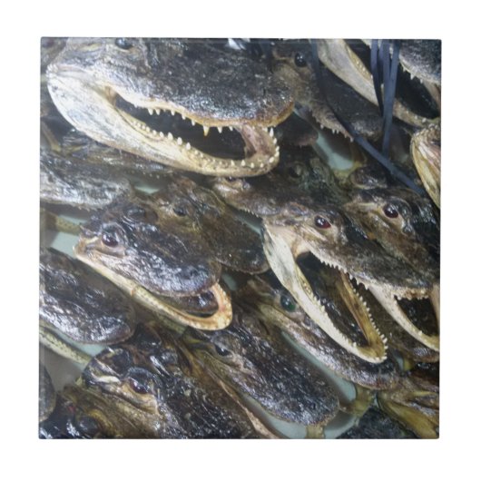 Gator Head keramische Tegel Tegeltje (Voorkant)