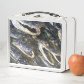 Gator Head lunchbox (In situ)