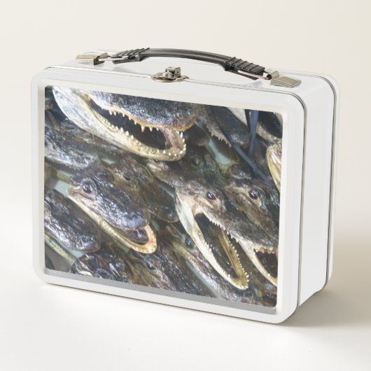 Gator Head lunchbox (Voorkant)