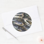 Gator Head Sticker (Envelop)