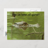 Gator in water dicht briefkaart (Voorkant / Achterkant)
