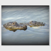 Gator Love Cadeaupapier (Vlak)