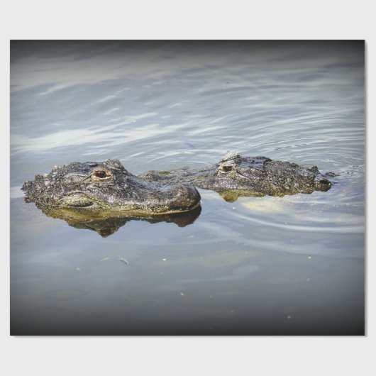 Gator Love Cadeaupapier (Vlak)