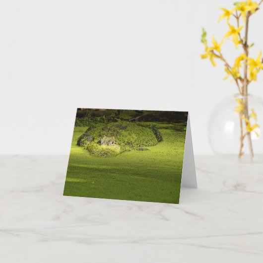 Gator Lurking in Duckweed - Natuur Foto Kaart (Gele Bloem)