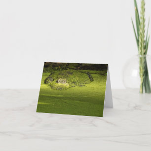 Gator Lurking in Duckweed - Natuur Foto Kaart