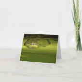 Gator Lurking in Duckweed - Natuur Foto Kaart (Voorkant)