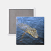 Gator Magnet (Voorkant / Achterkant)